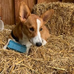 Meet your Posher, Lori